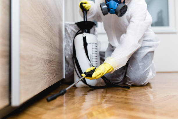 Pest Control for Restaurants in Swift Trail Junction, AZ