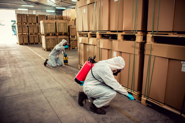 Best Best Pest Control Companies  in Swift Trail Junction, AZ