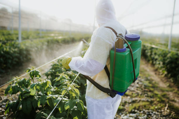 Best Residential Pest Control  in Swift Trail Junction, AZ